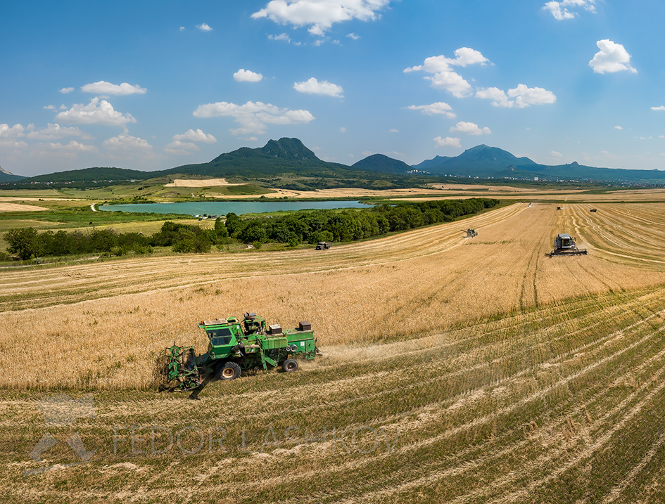 Уборка пшеницы на Ставрополье