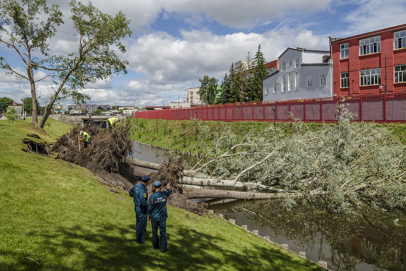 Выворотень на Казанской набережной. Тула.