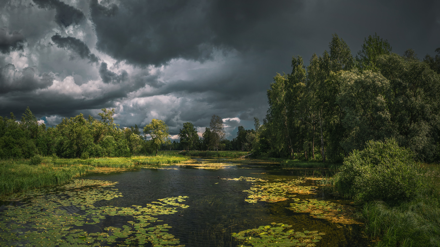 Landscape before a thunderstorm.
