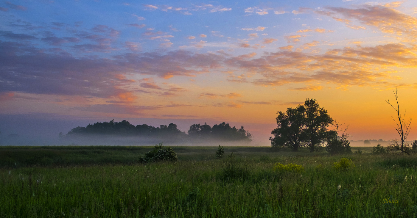 Туман по полям.