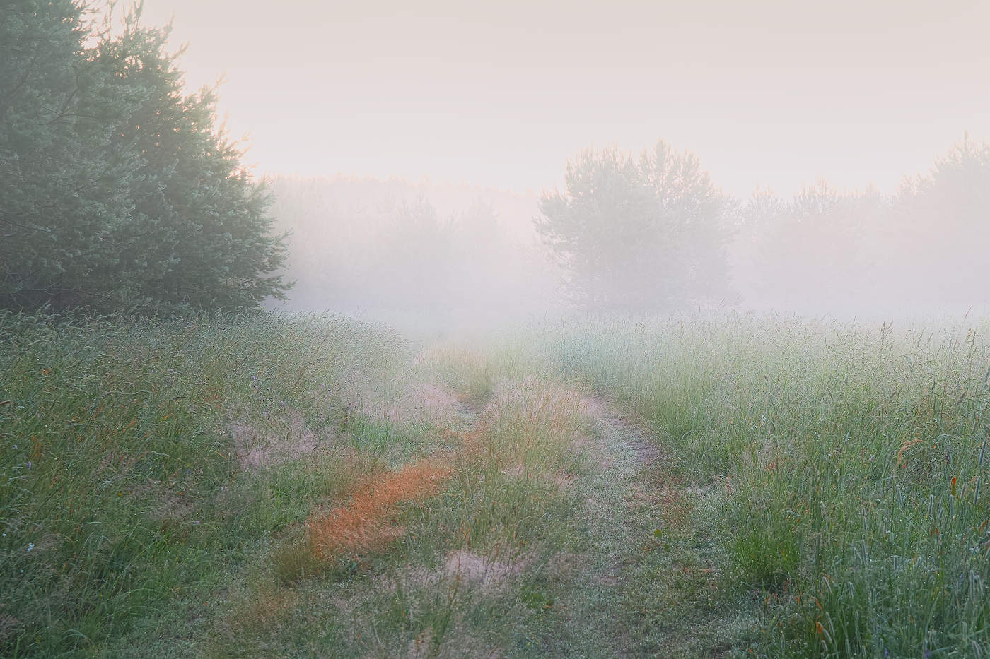 В туманную неизвестность