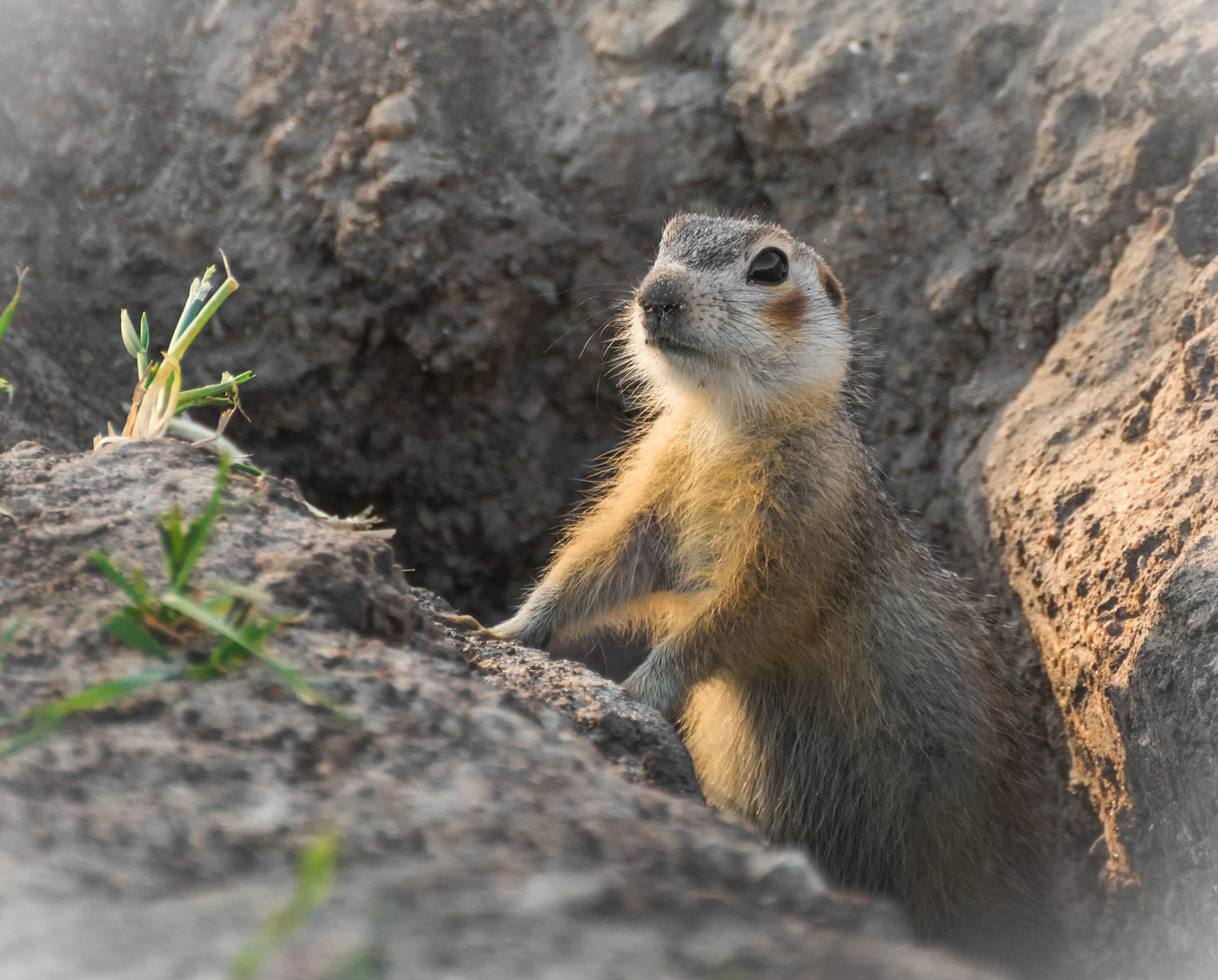 эй, там, наверху...!!