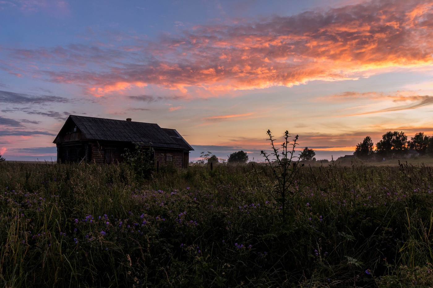 Вечер в Осенево