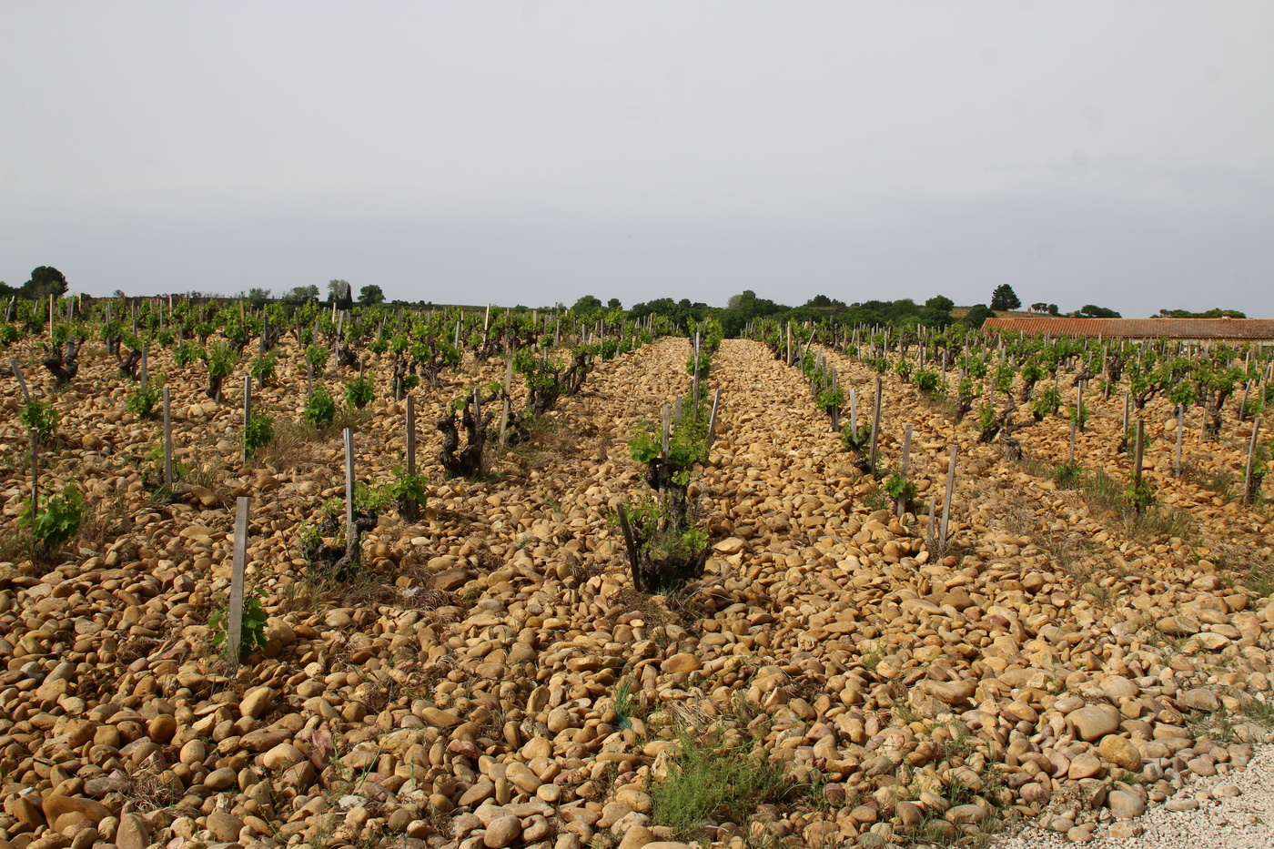 Знойная пятница