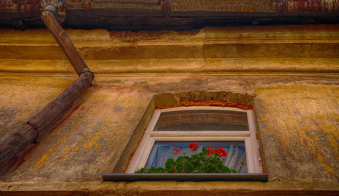 И здесь живут...