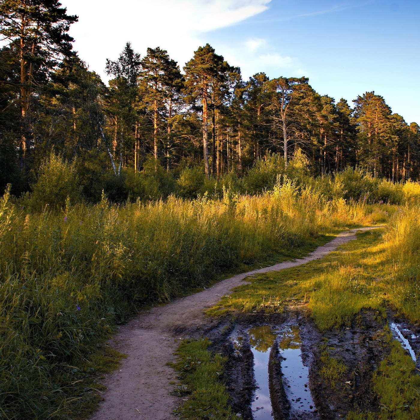 Тёплый вечер.