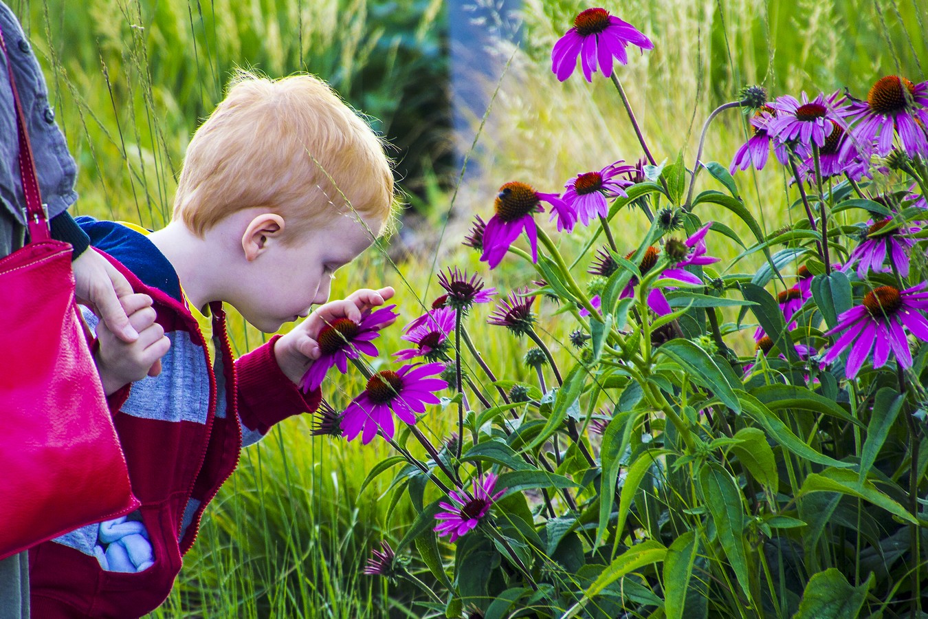 Знойная пятница