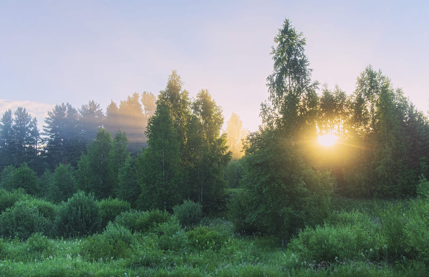 Утренний взгляд