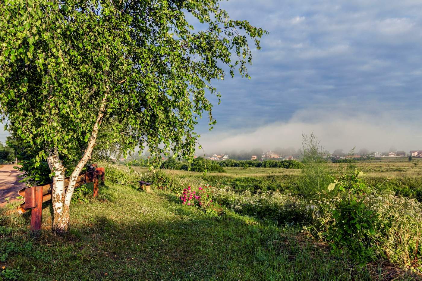 Одно июльское утро