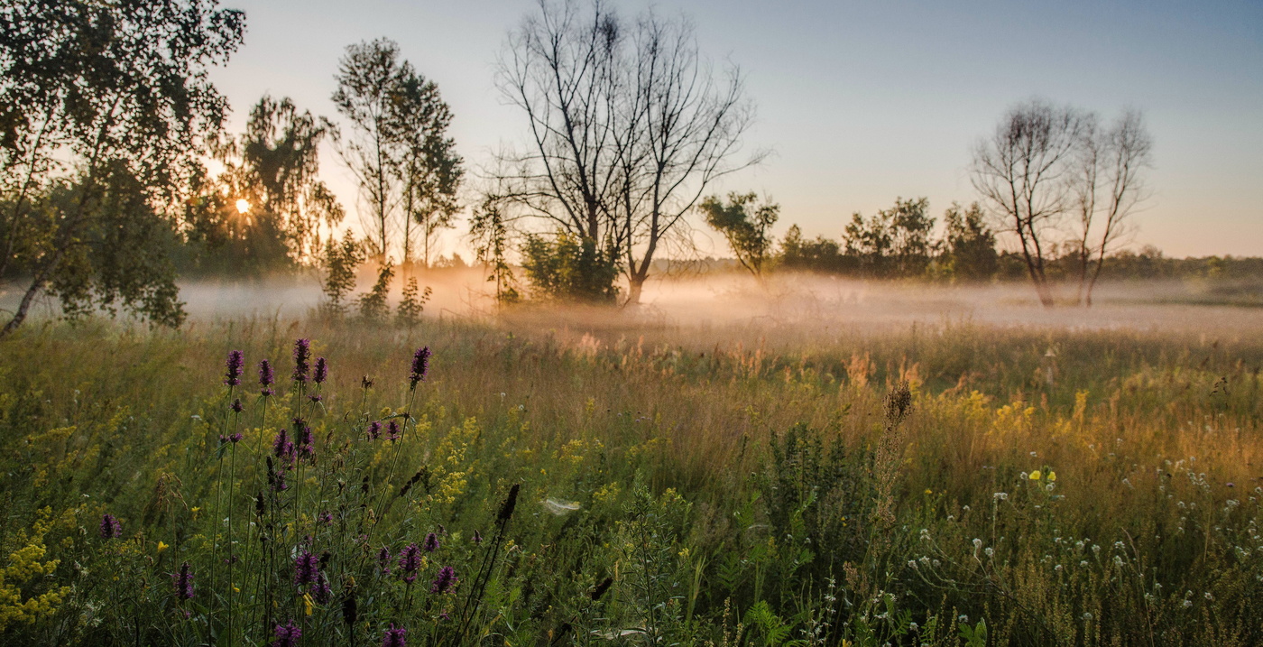 Мелодия рассвета.