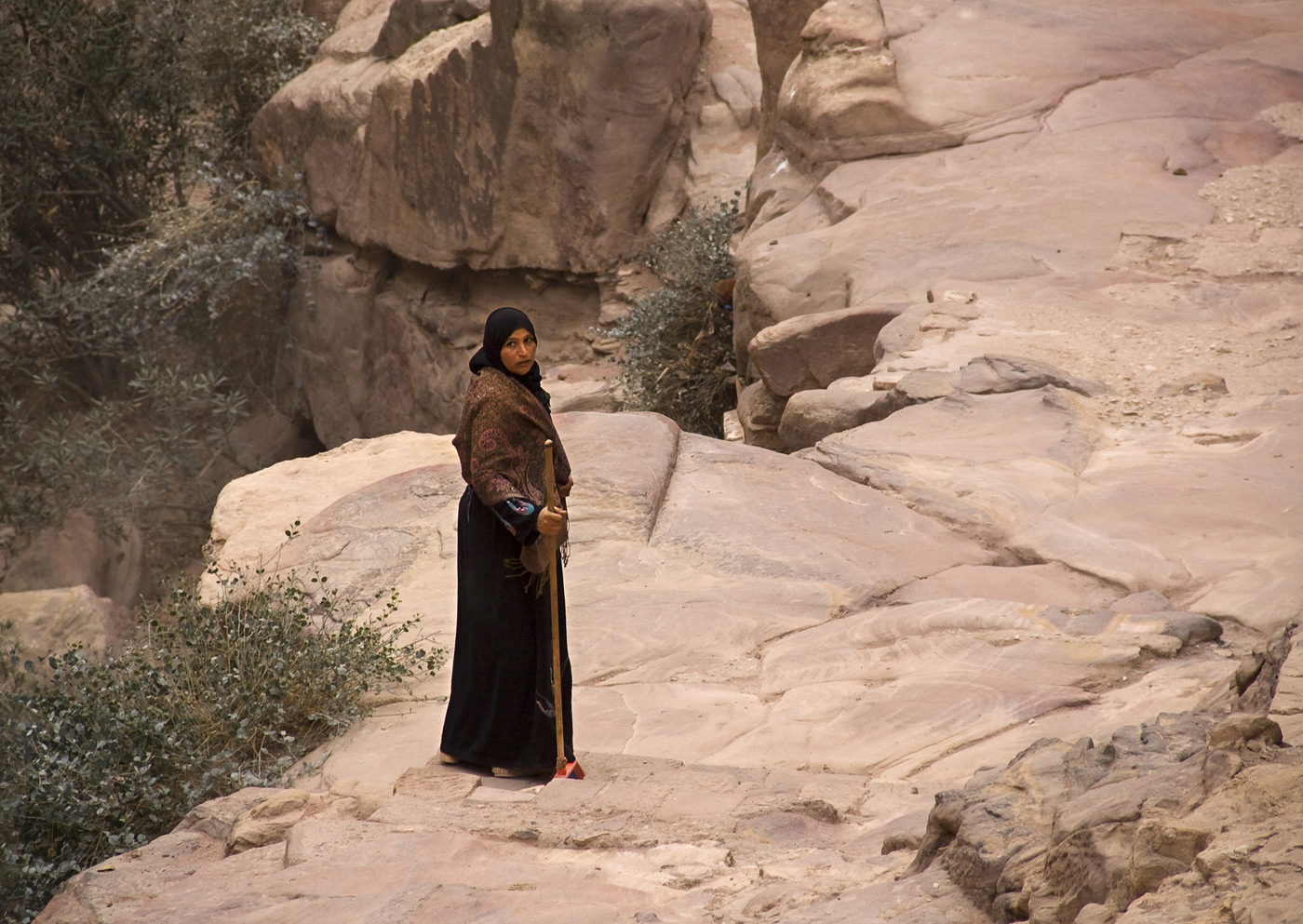 Петра и ее обитатели-4