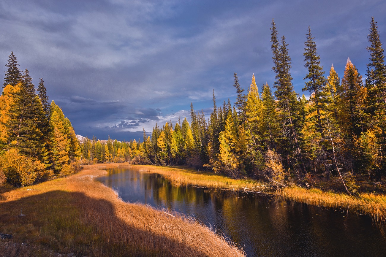 Вечерний свет.