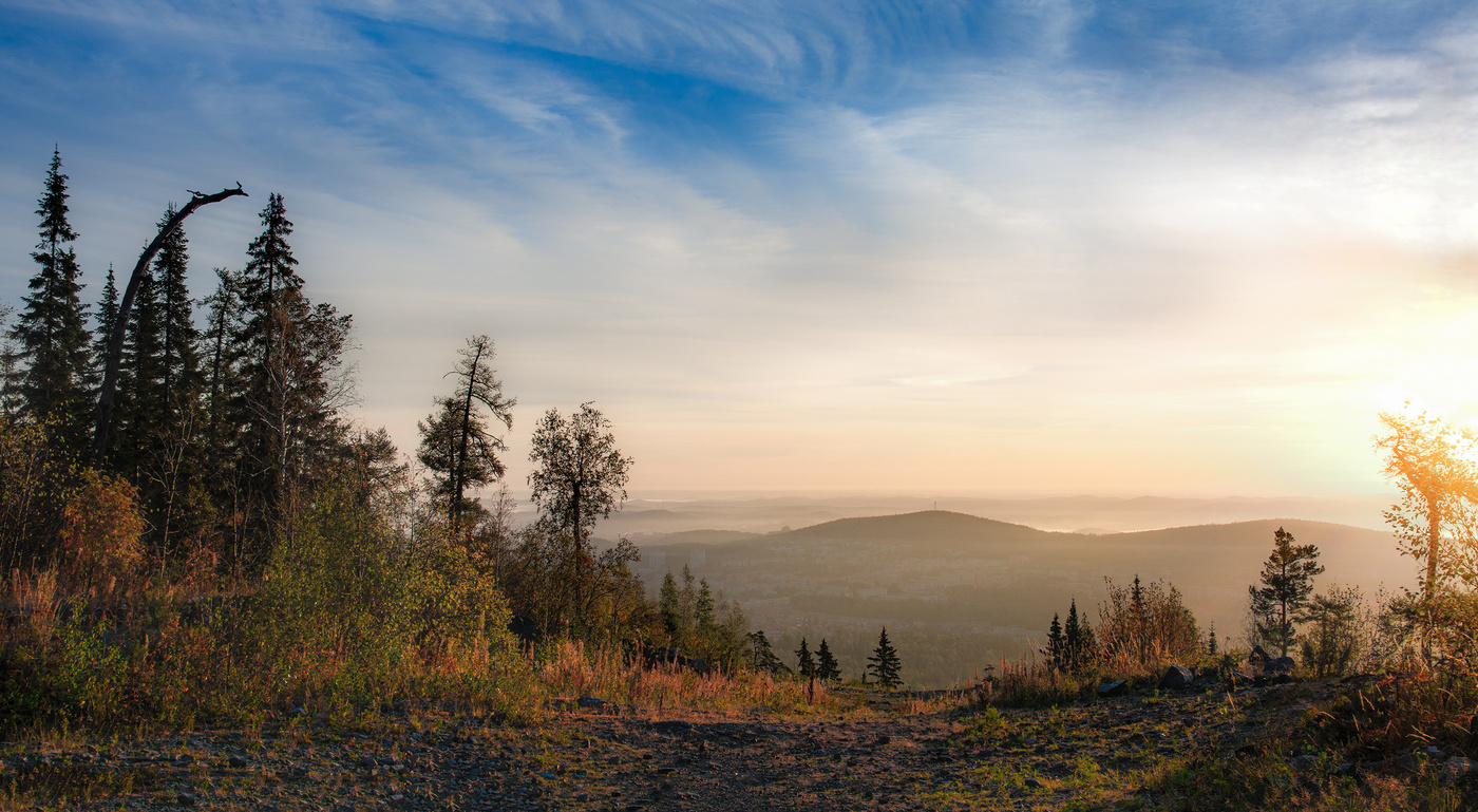 Туманное утро