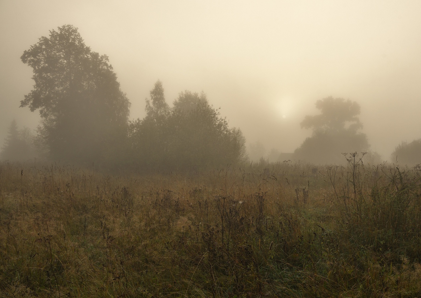 "Утро раннее. Туман. Близость осени..."