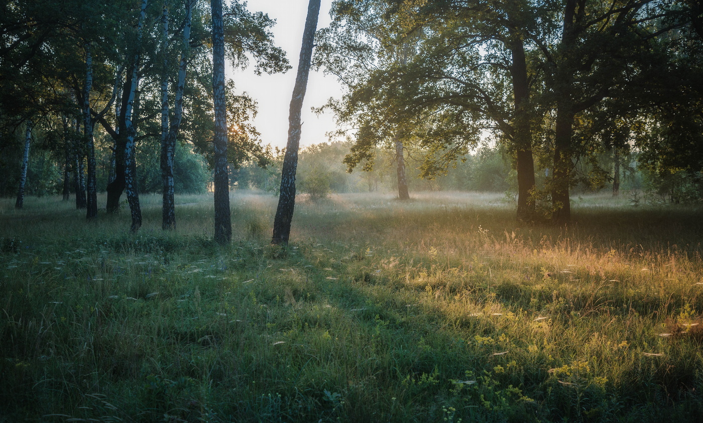 Здесь робко утро пробуждается...