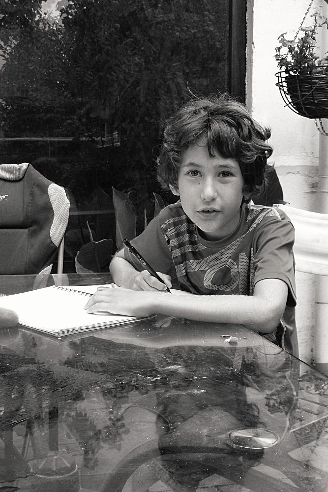 портретист