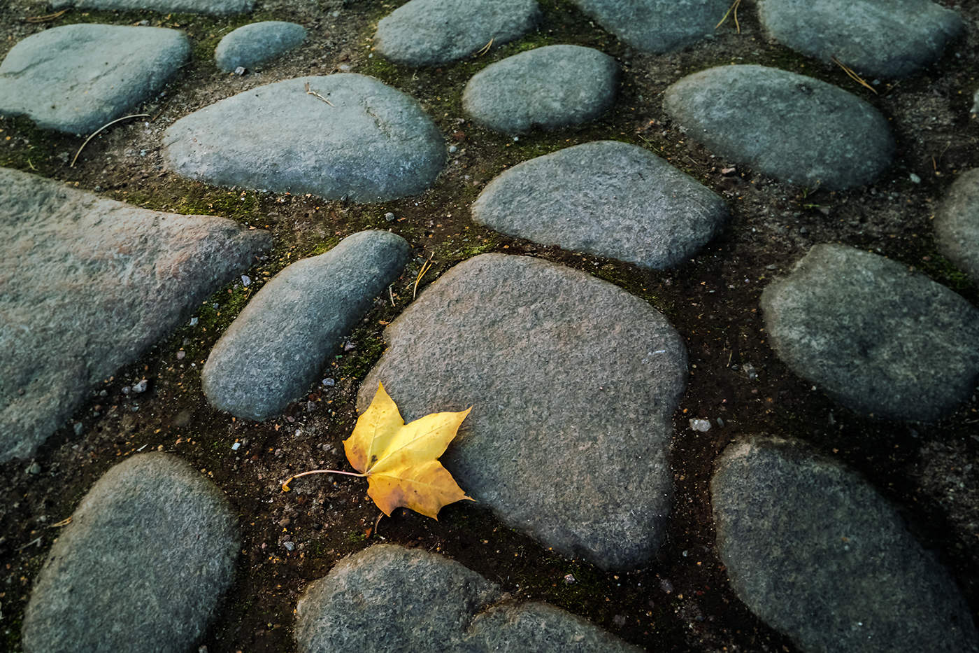 Одиночество