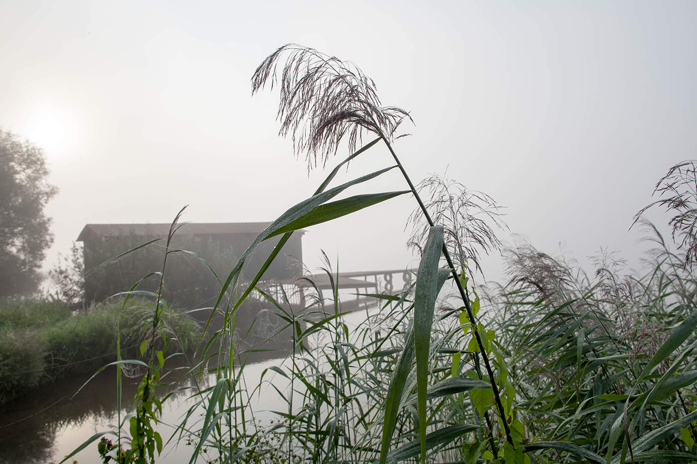 Рыбацкое утро