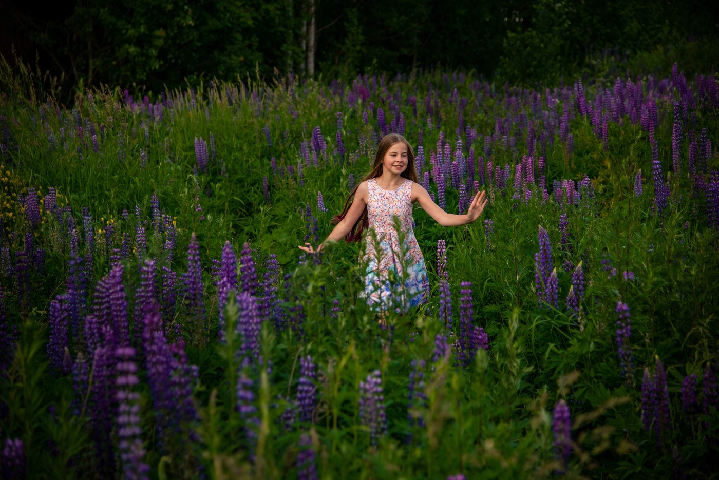 Поле перейти