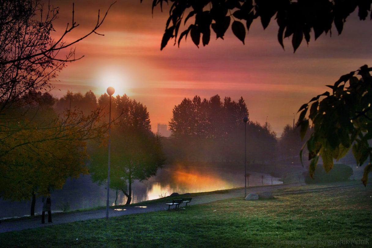 Краснопёрый закат