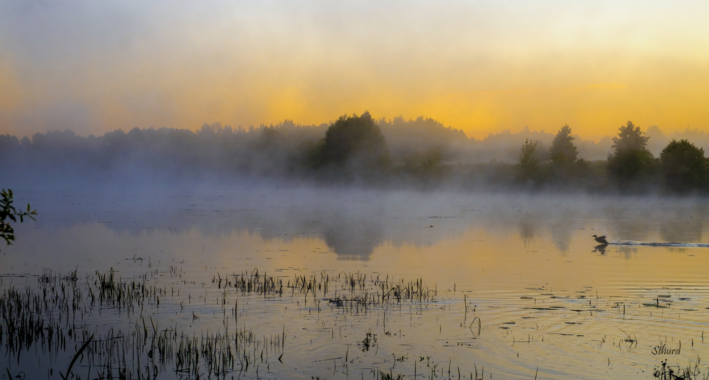 Утро на Истоке.