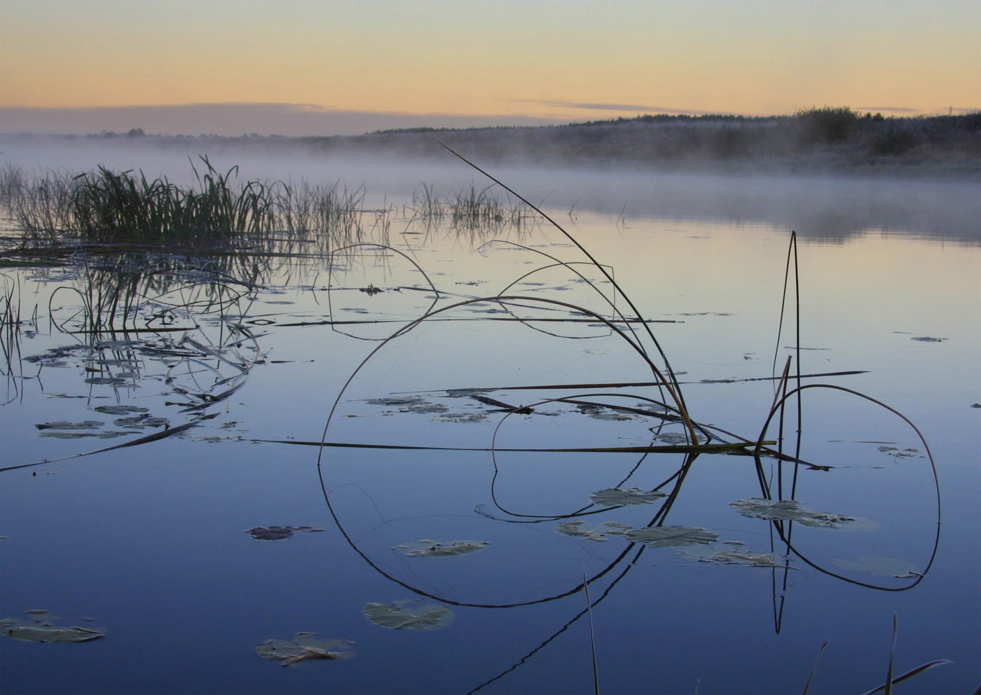 Графика утра