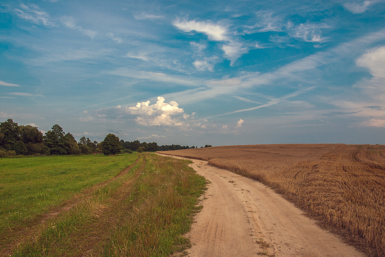 Дорога в поля