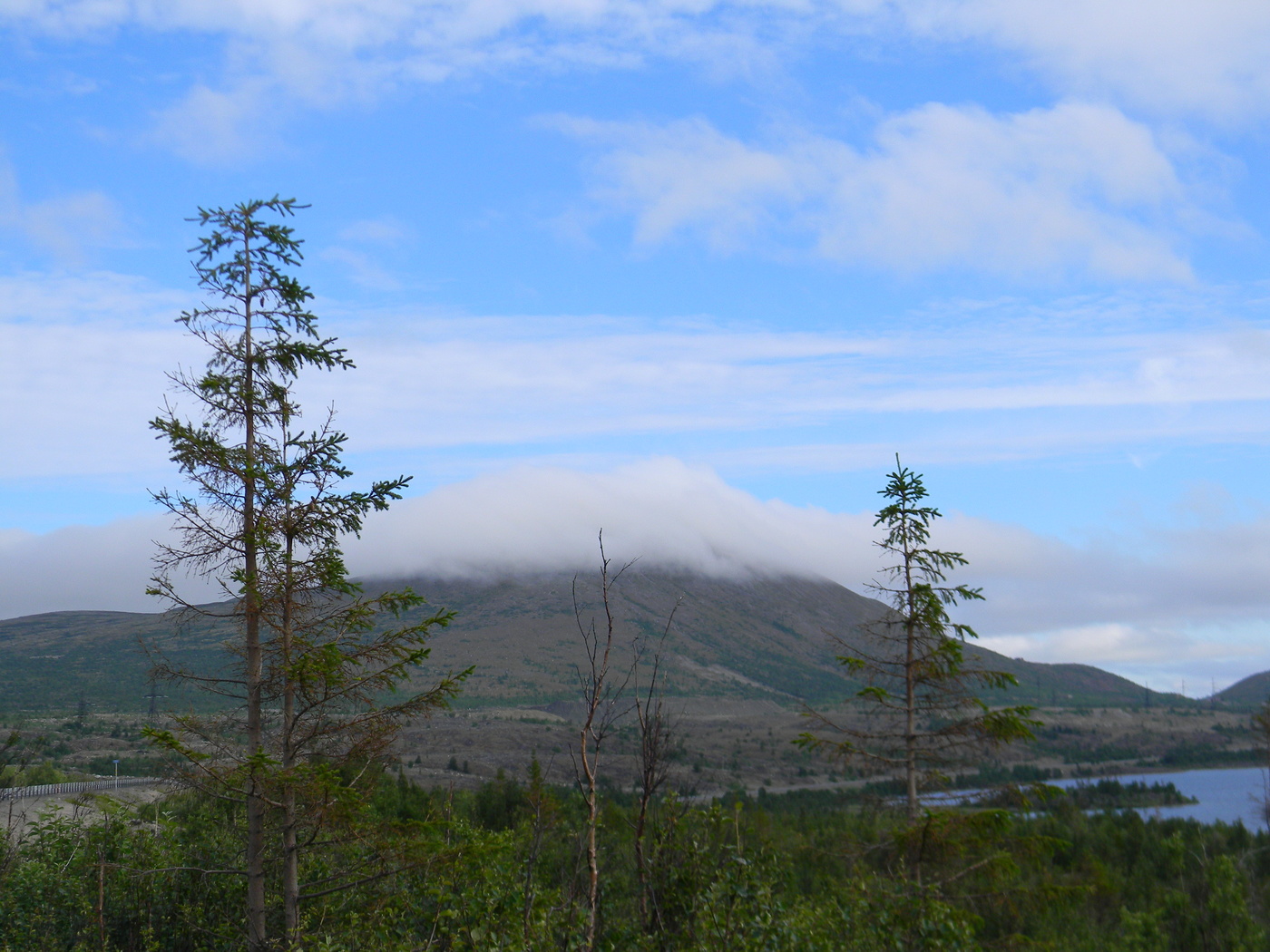 Утро на севере