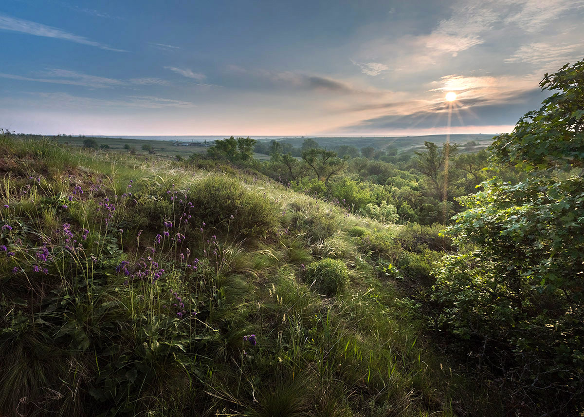 Степное утро
