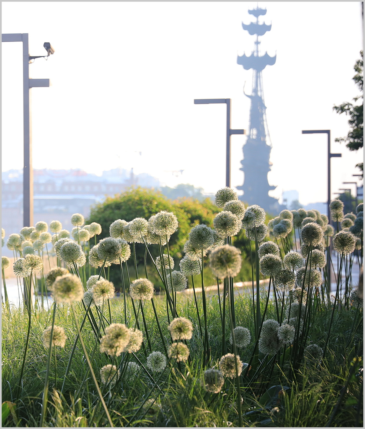 Дотянуться до небес