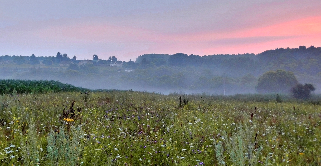 Ещё спит село, окутанное туманом