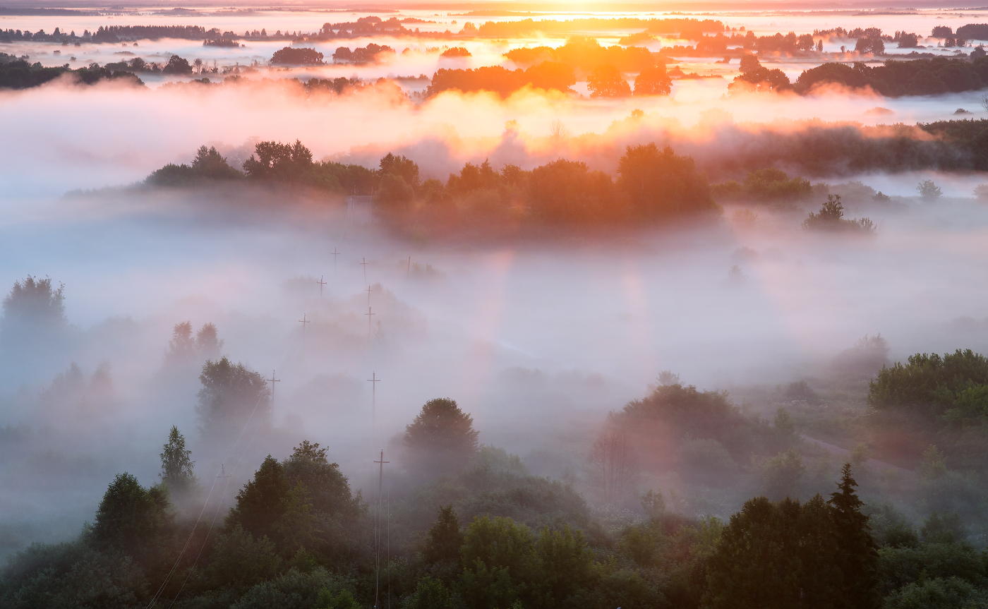 Сквозь туман