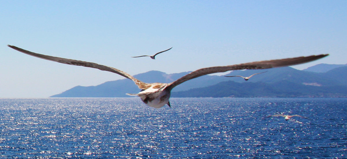 В свободном полете...