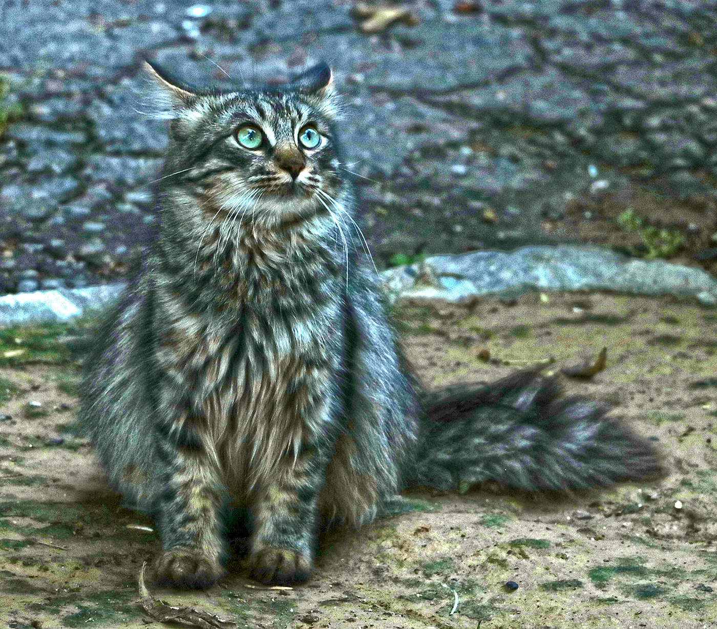 Кающаяся Магдалина