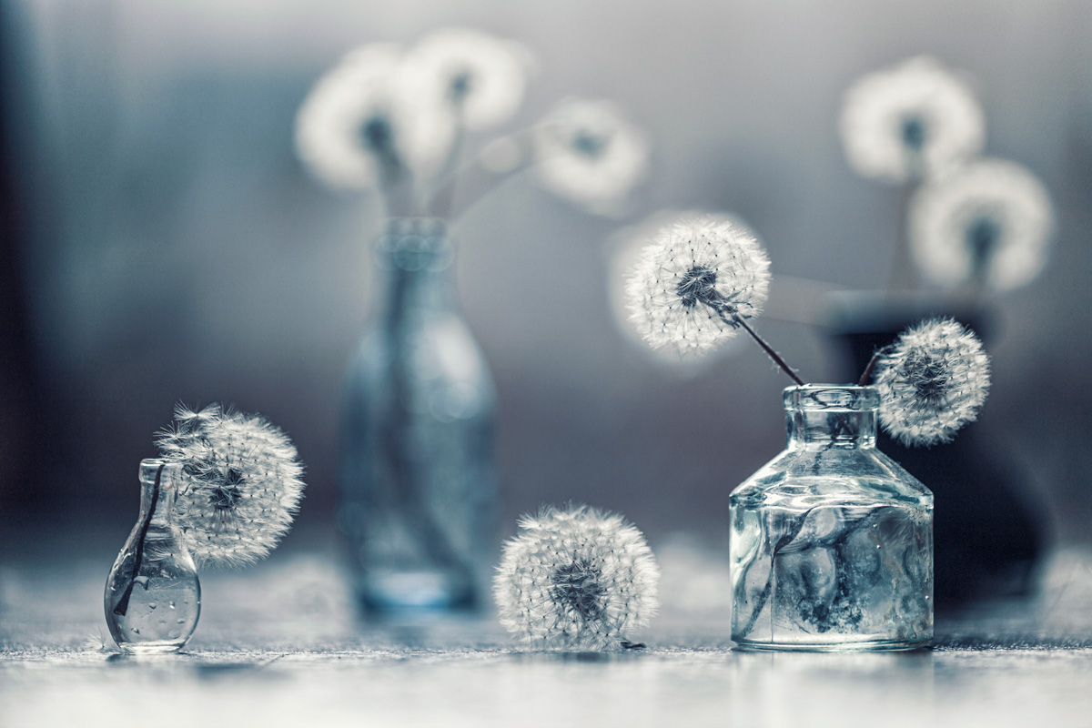 вне купола...