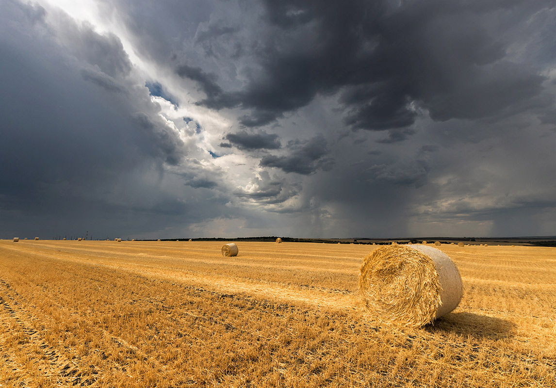 Война и мир