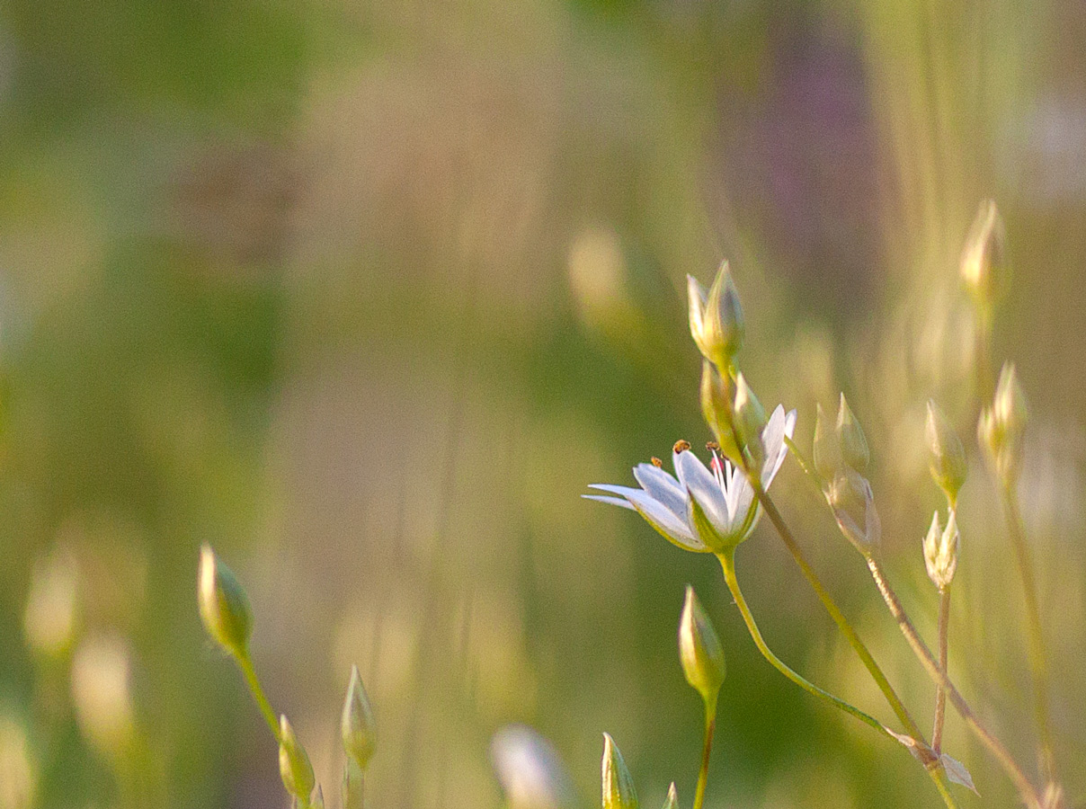 В поисках объекта