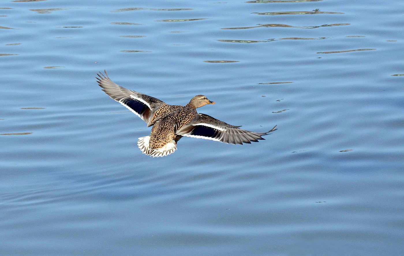 В поисках объекта