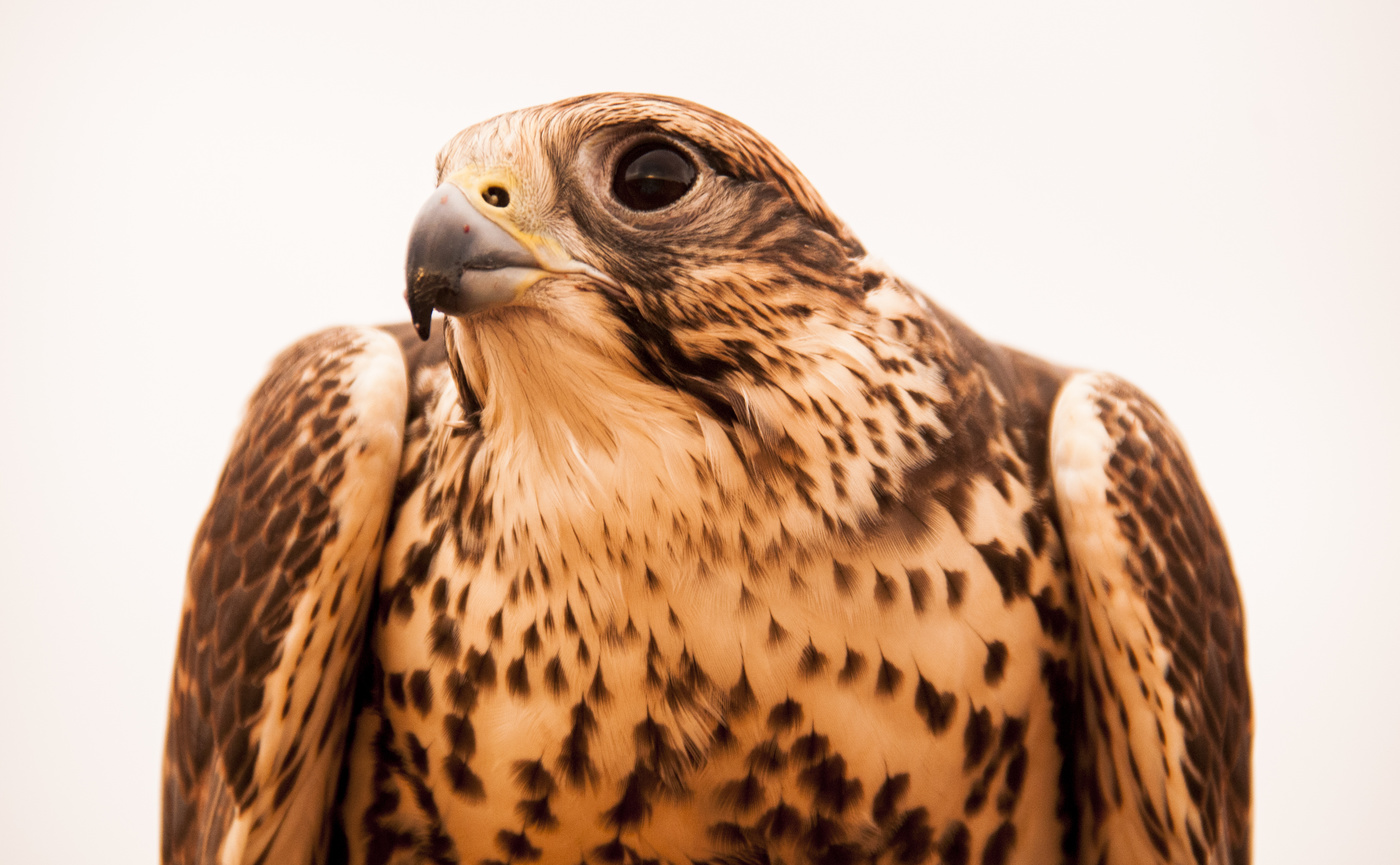 В поисках объекта