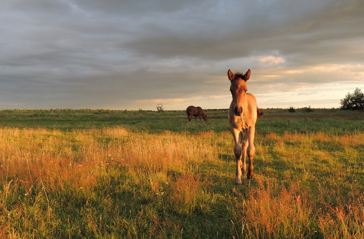 В поисках объекта