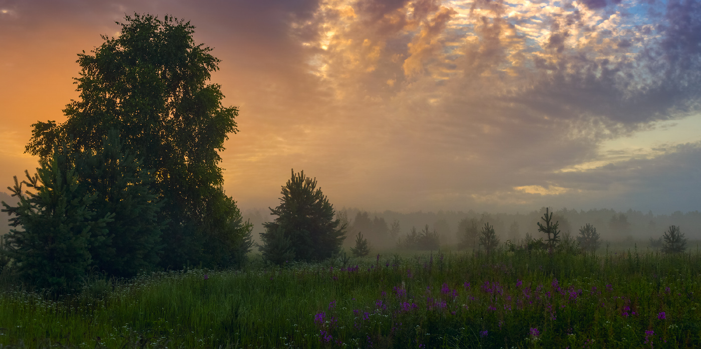 Момент туманного утра
