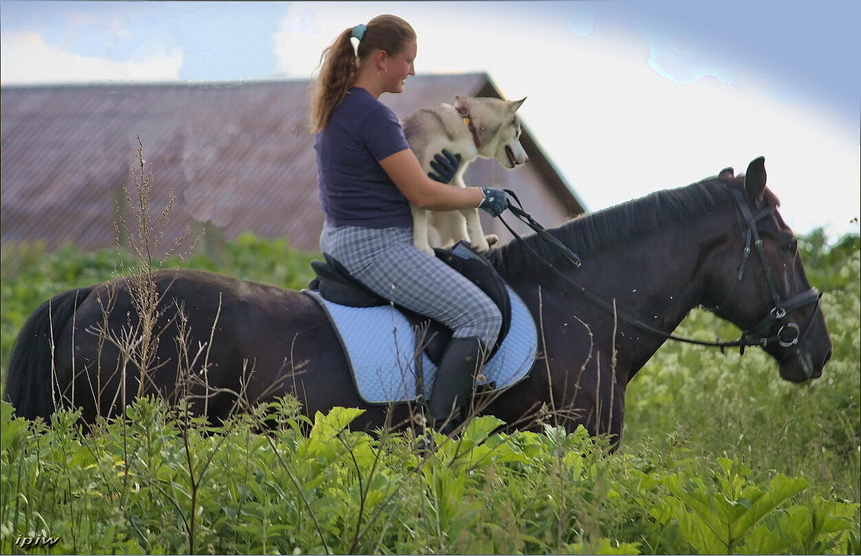 В поисках объекта