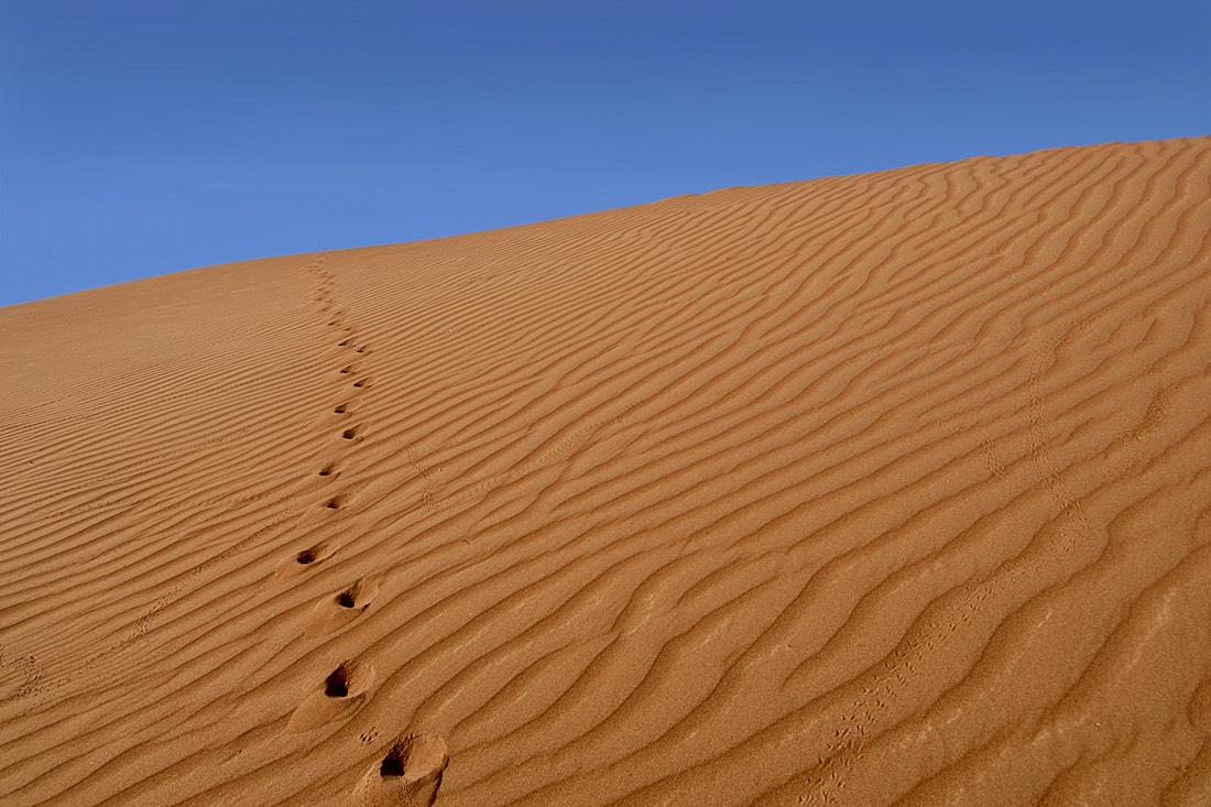 В поисках объекта