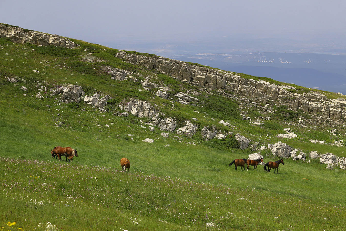 На верхнем плато Чатыр-Дага
