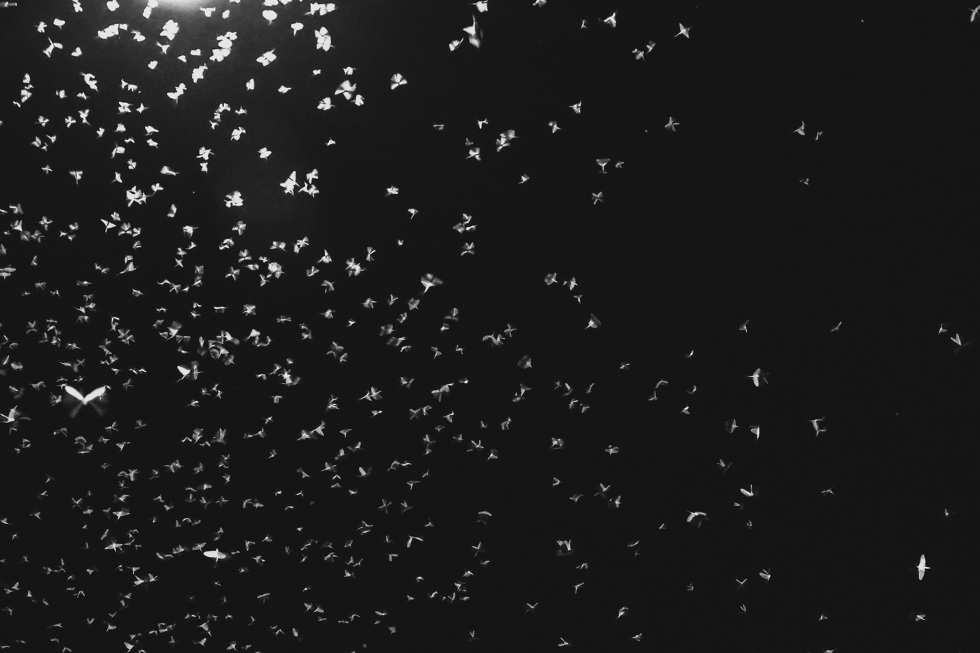 В поисках объекта