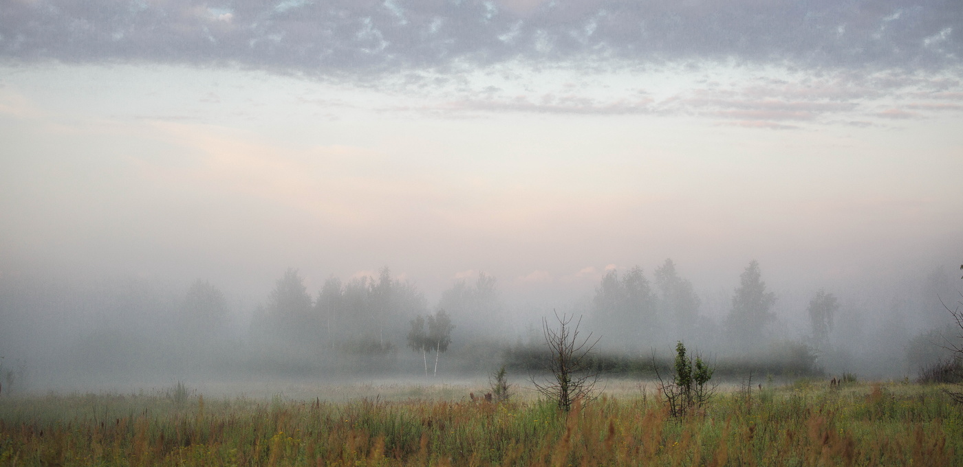 Туман окутывает даль...