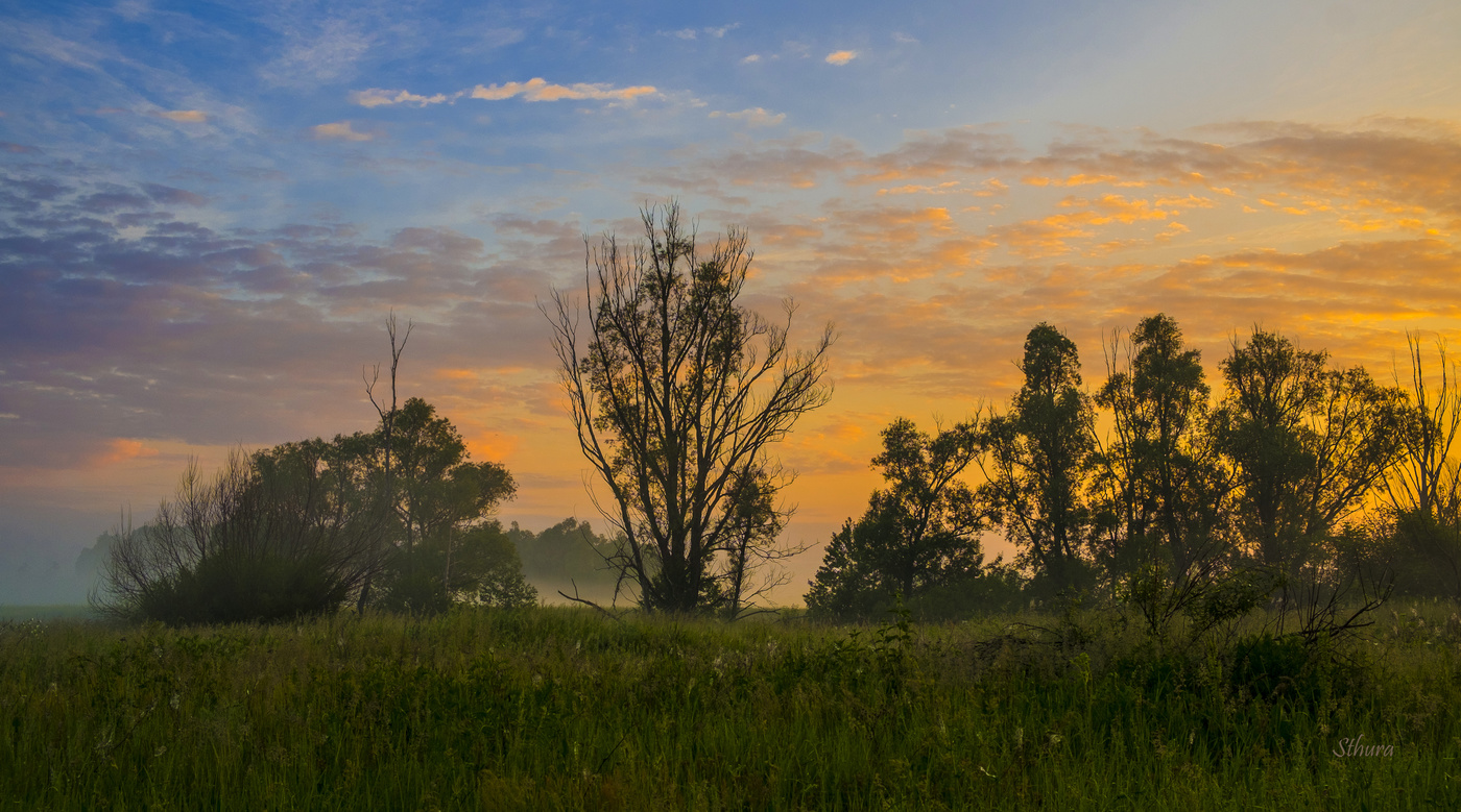 Июньское утро.
