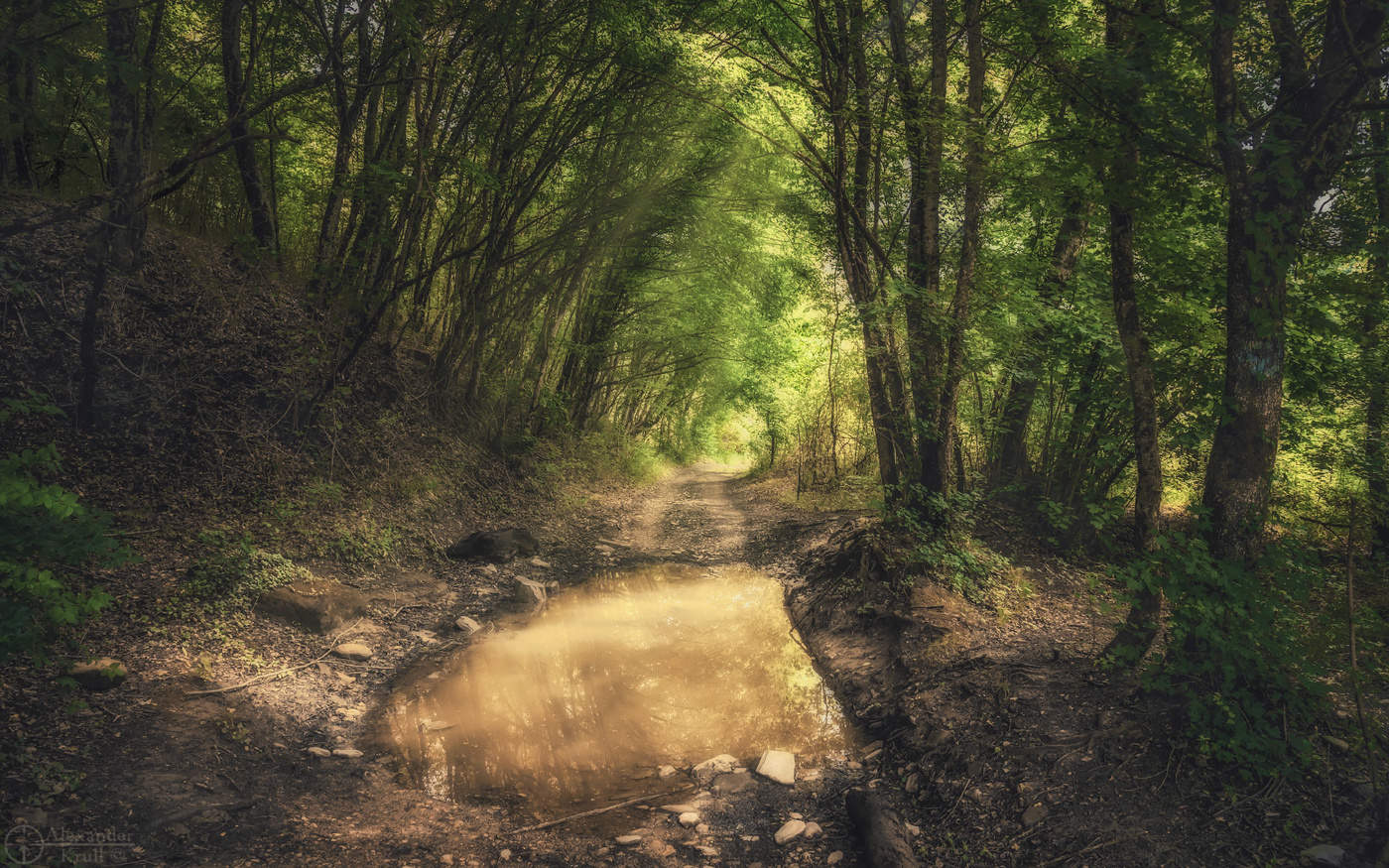 Июньскими дорогами...