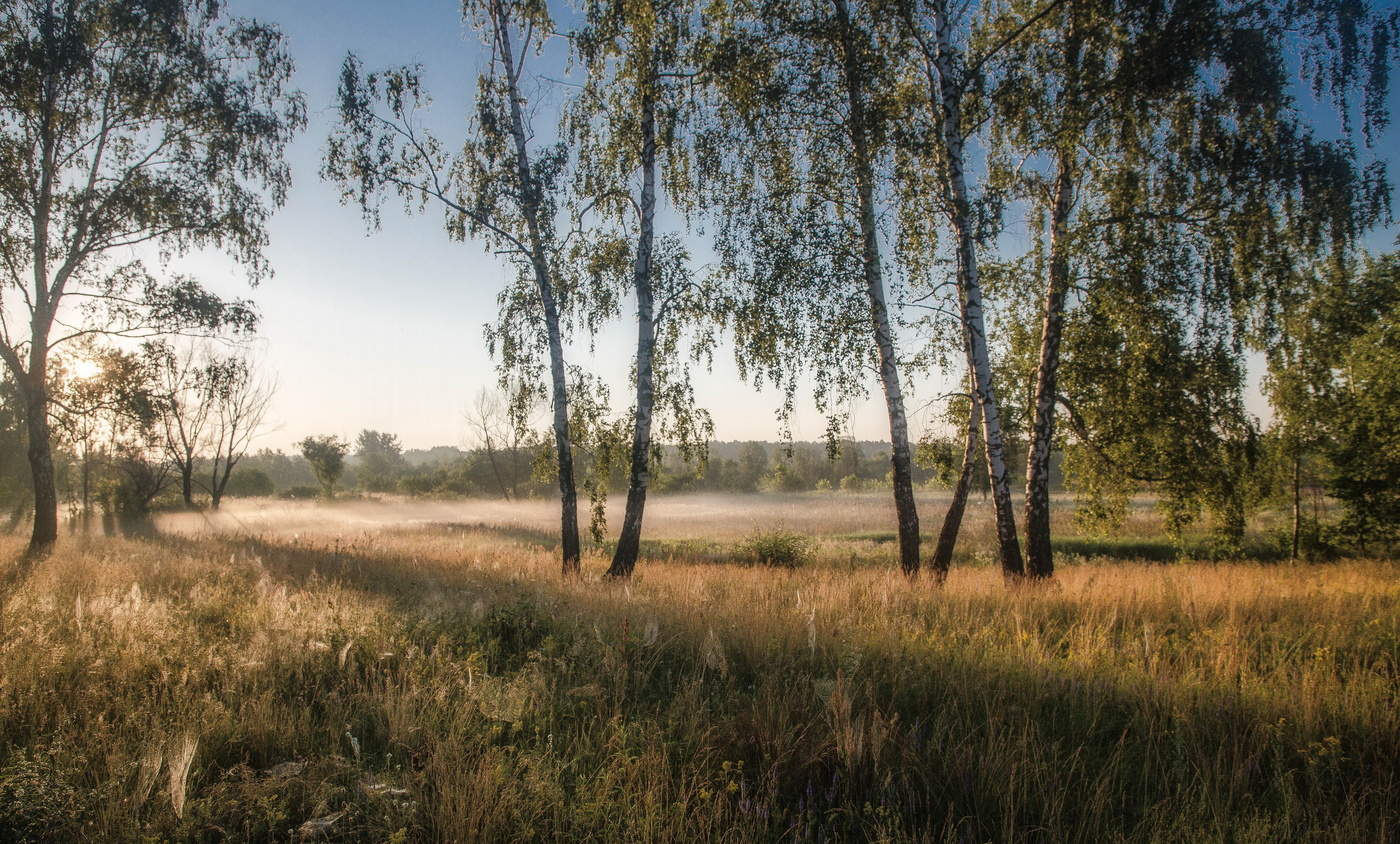Залит простор чудесным светом...