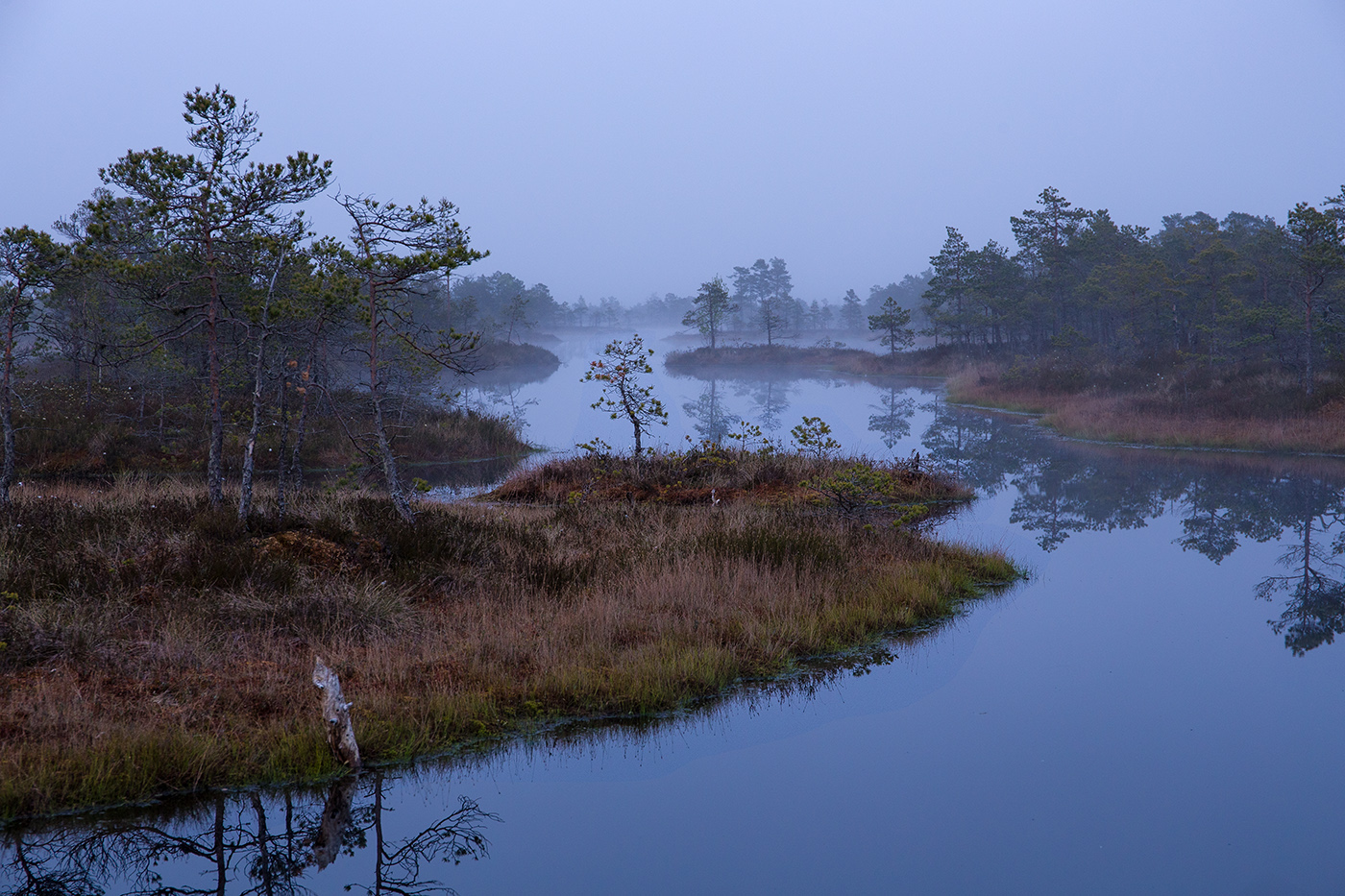 Синий туман